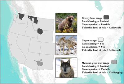 Frontiers | Are We Coexisting With Carnivores in the American West?